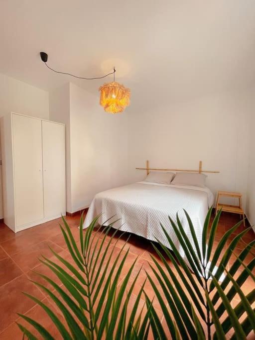Apartamento Casa Bamboo Corralejo, Espacioso, Piscina Y Parking Exterior foto